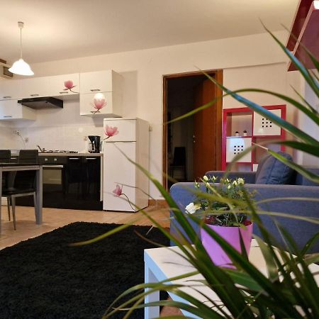 Apartman Sandro 莫托文 外观 照片