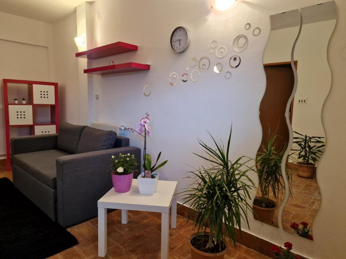 Apartman Sandro 莫托文 外观 照片