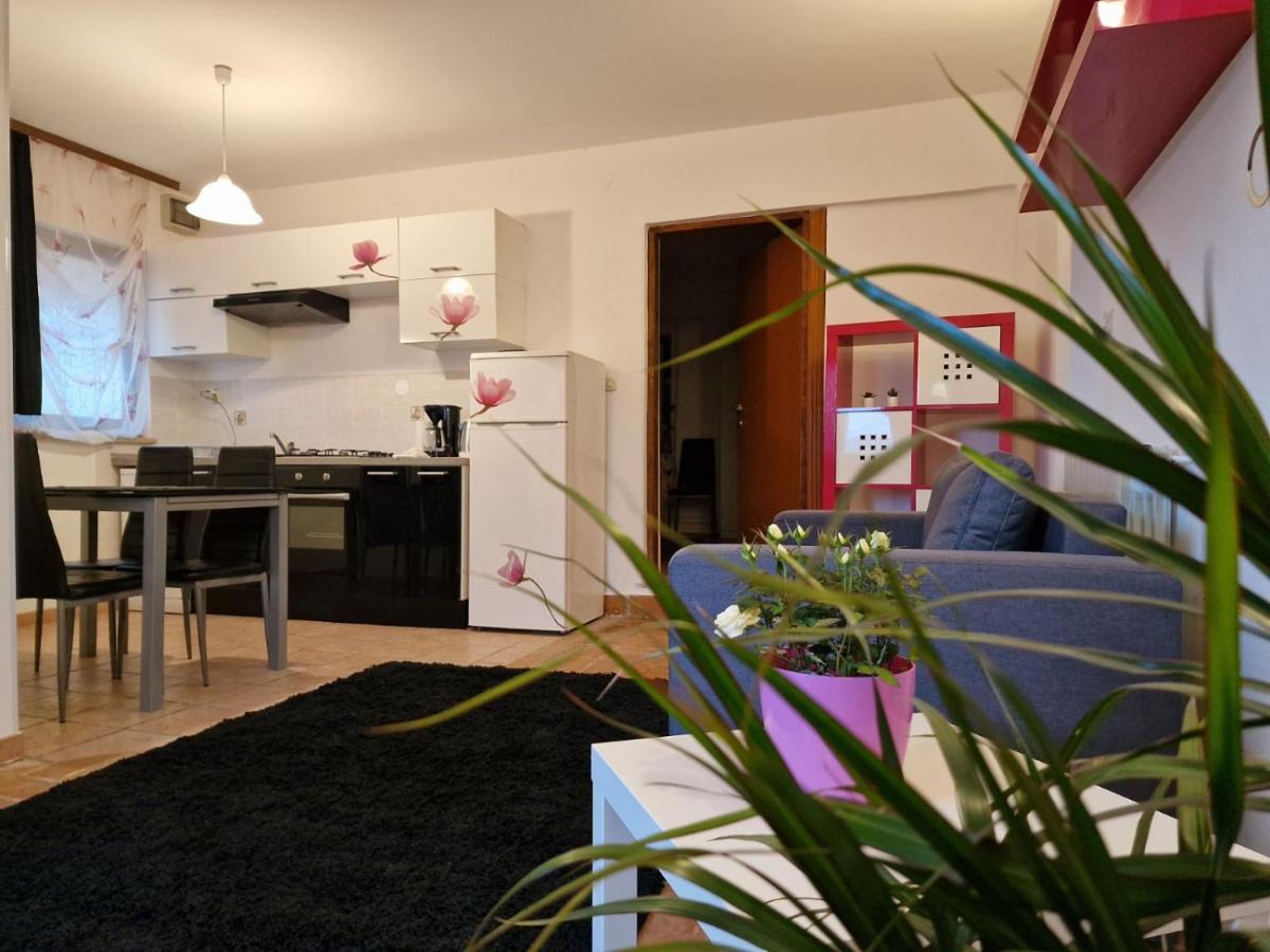 Apartman Sandro 莫托文 外观 照片